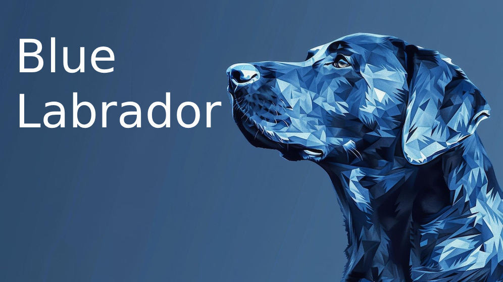 Blue Labrador